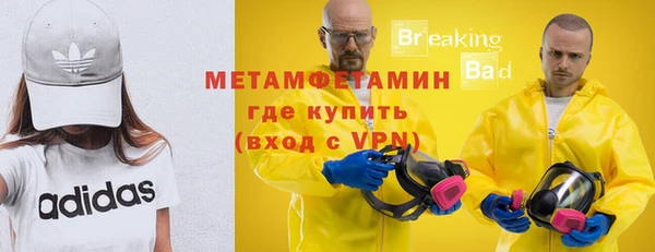 ECSTASY Богданович