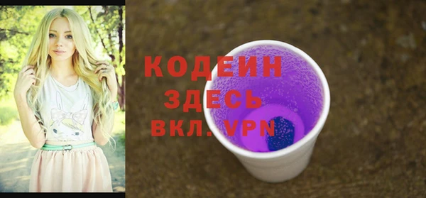 ECSTASY Богданович