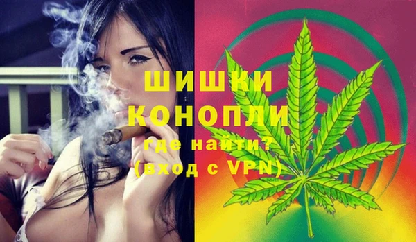 ECSTASY Богданович