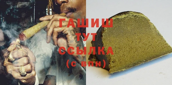 ECSTASY Богданович