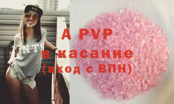 ECSTASY Богданович