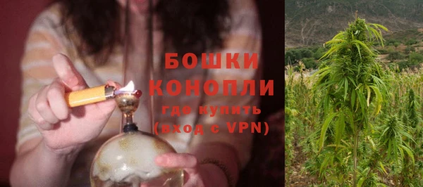 ECSTASY Богданович