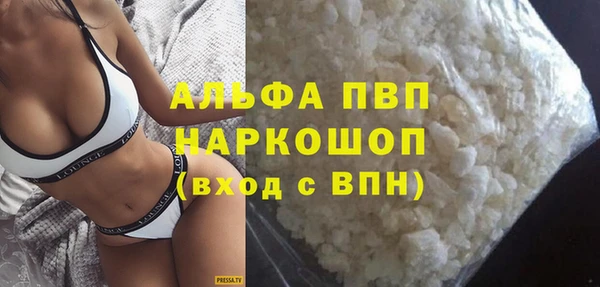 ECSTASY Богданович