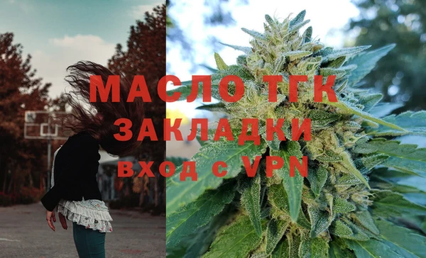 ECSTASY Богданович