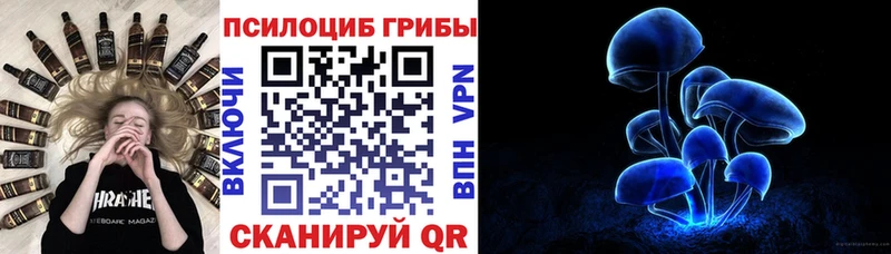наркошоп  Котельники  Псилоцибиновые грибы мухоморы 